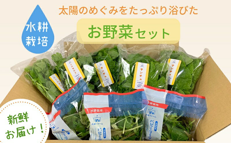 【ふるさと納税】水耕野菜セット（3～5種類10パック程）
