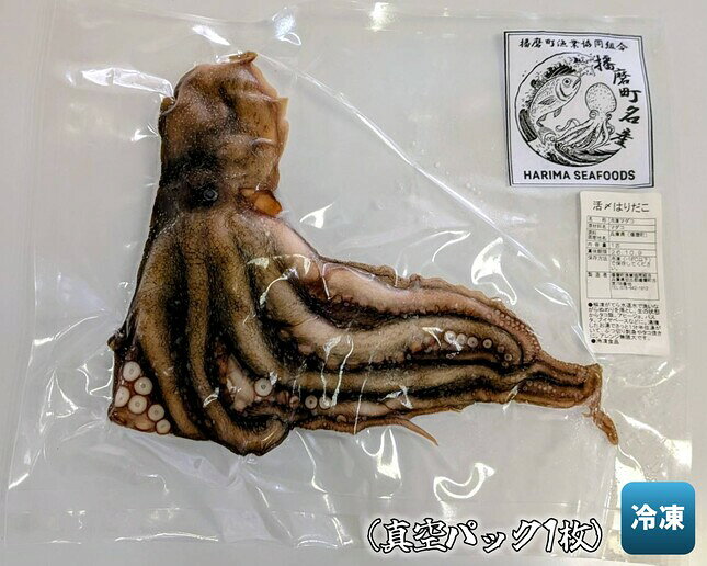 【ふるさと納税】播磨町産活け〆はりだこ 1匹 タコ 海鮮 魚介類 瀬戸内 兵庫県 播磨町 f283827-harima-10000048 兵庫県播磨町 サンプル画像3