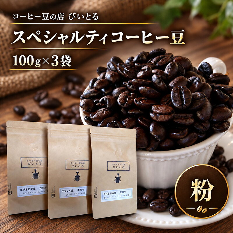 スペシャルティコーヒー豆 (100g×3袋)自家焙煎※浅～深煎り3カ国の豆の組合せセット【粉に挽いて袋入り】【郵便受けへのポスト投函でお届けする商品】