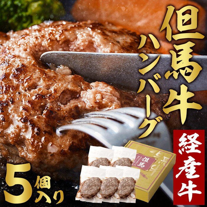 【ふるさと納税】009AA01N.但馬牛 経産牛 ハンバーグ（150g×5個） / 但馬牛 牛肉 100% 黒毛和牛 そのまま 鉄板焼き 冷凍 テレビで紹介されました！