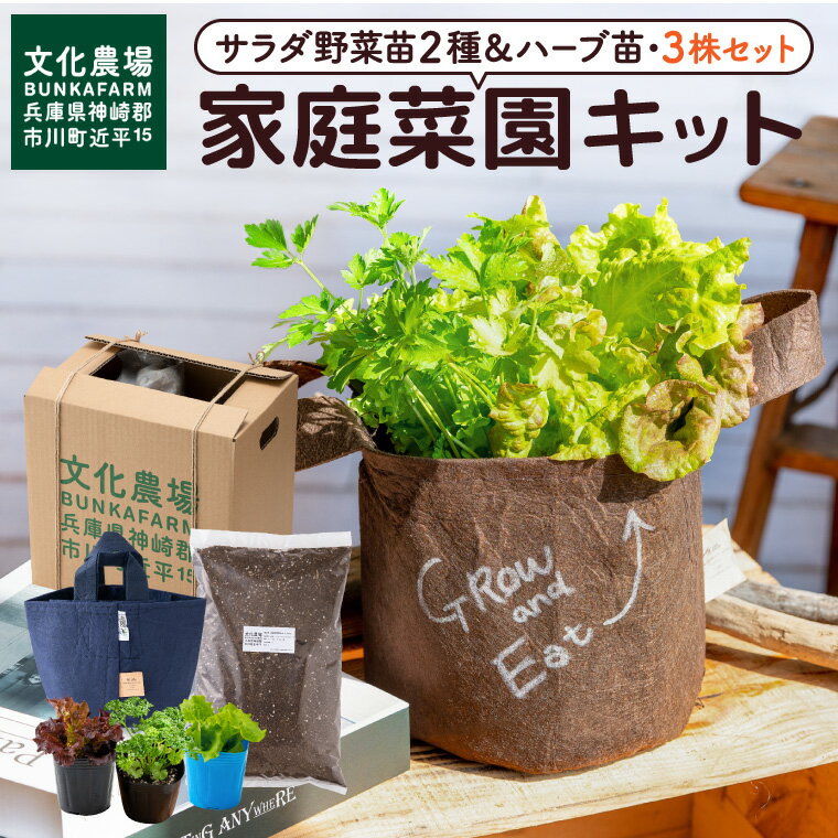 【ふるさと納税】家庭菜園キット サラダ野菜苗2種＆ハーブ苗の3株セット/ プランター ガーデニング 野菜 ハーブ 栽培 ベランダ菜園 野菜苗 培土 園芸 011BK04N.