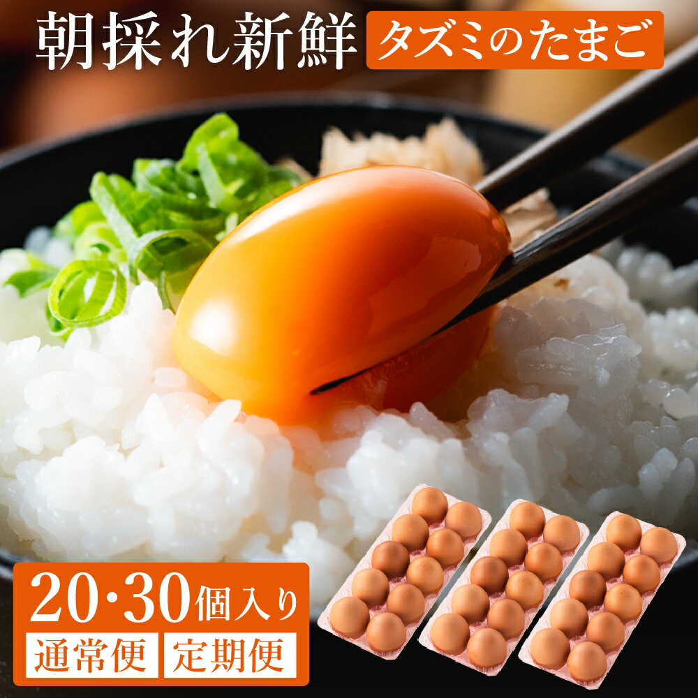 【ふるさと納税】【累計600万個突破！】（定期便）卵かけご飯にも相性抜群！タズミの卵 Mサイズ / 20個 30個 1回 定期便 2回 3回 6回 12回 2ヶ月 3ヶ月 6ヶ月 12ヶ月 こだわり卵 市川町産 兵庫県産 たまご たまごかけご飯 玉子 生卵 鶏卵 タマゴ 卵焼き TKG 005AB02N.