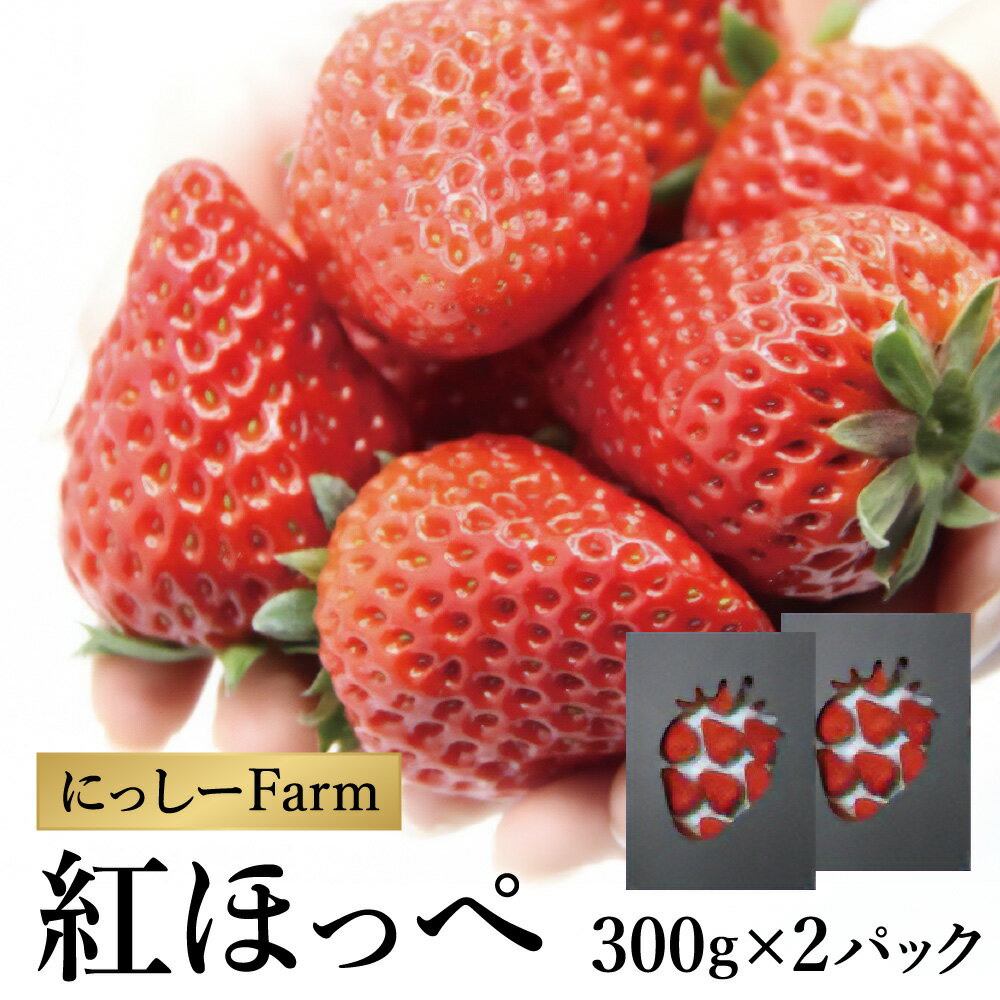 【ふるさと納税】【予約販売】美味しいいちご 「にっしーFarmの紅ほっぺ」(300g×2パック) / イチゴ 苺 生食 大粒 フルーツ 果物 くだもの 国産 数量限定 季節限定 摘みたて 冷蔵便【お届け:2024年12月中旬より順次発送】 011NF01N.