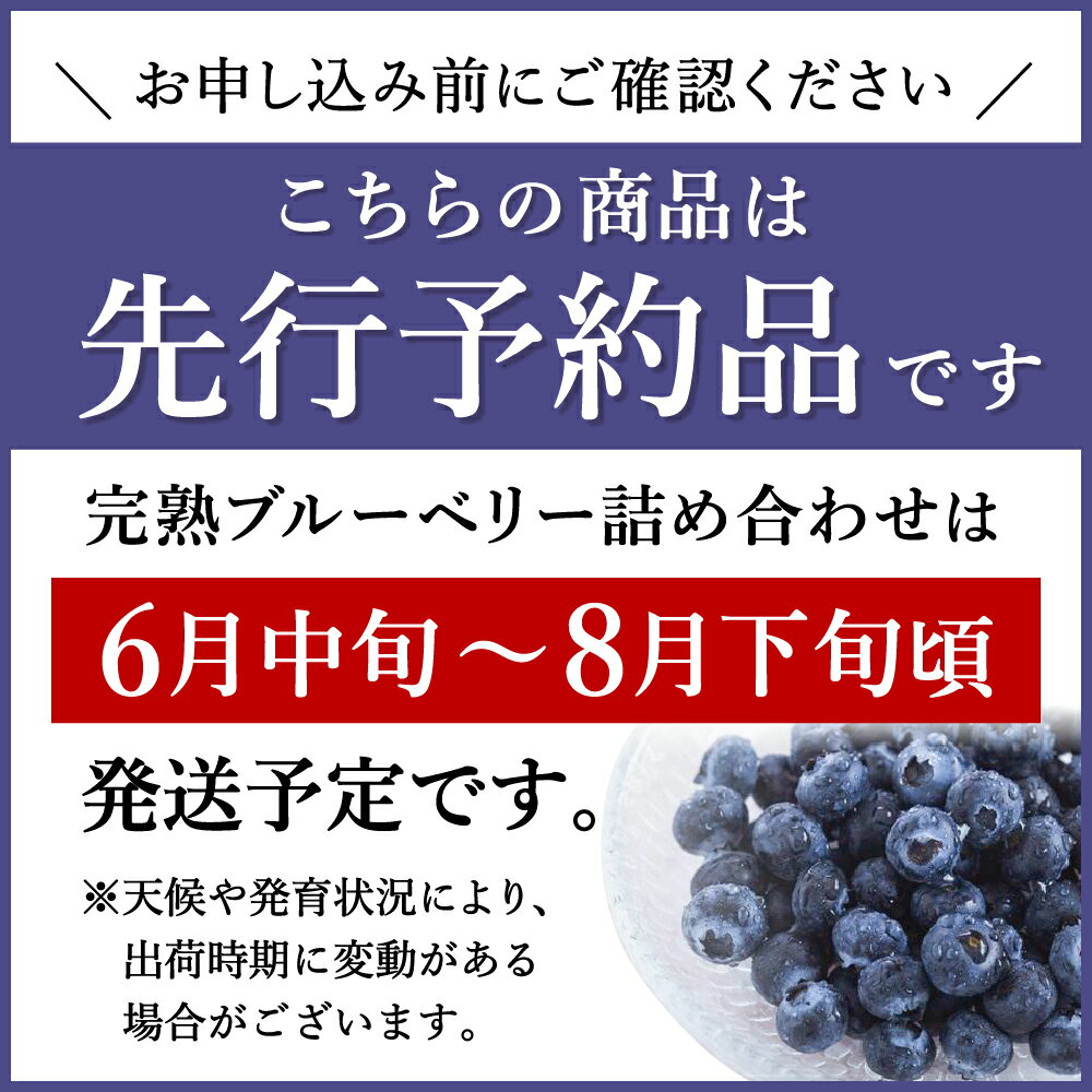 【ふるさと納税】【予約販売】無農薬 ブルーベリー 完熟 生 詰め合わせ（250g×2パック）2024年 冷蔵 生食 大粒 フルーツ 果物 くだもの 国産 数量限定 期間限定 摘みたて 農薬不使用【お届け：2024年6月中旬～8月下旬】 011SW01N. 2