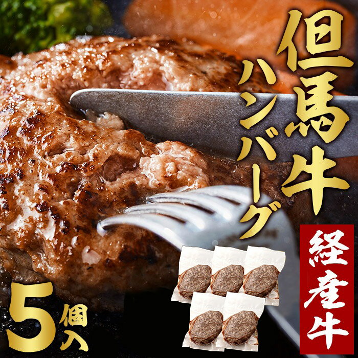 7位! 口コミ数「1件」評価「5」但馬牛 ハンバーグ 5人前 （150g×5個）個包装 牛肉 黒毛和牛 100% 国産 経産牛 和牛 赤身 味付け ほくぶ バーベキュー bb･･･ 