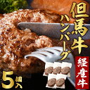 9位! 口コミ数「1件」評価「5」但馬牛 ハンバーグ 5人前 （150g×5個）個包装 牛肉 黒毛和牛 100% 国産 経産牛 和牛 赤身 味付け ほくぶ バーベキュー bb･･･ 