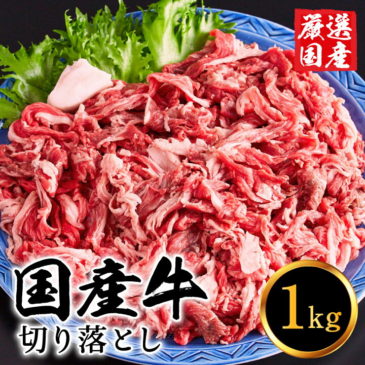 【ふるさと納税】国産牛肉 切り落とし 1kg 大容量 5~7人前 / 堀田畜産 いちかわ精肉店 赤身 ヘルシー 牛肉 国産 bbq バーベキュー 焼肉 アウトドア キャンプ ギフト 贈答品 贈り物 冷凍 010AA08N.