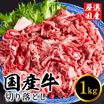 国産牛肉 切り落とし 1kg 大容量 5~7人前 / 堀田畜産 いちかわ精肉店 赤身 ヘルシー 牛肉 国産 bbq バーベキュー 焼肉 アウトドア キャンプ ギフト 贈答品 贈り物 冷凍 010AA08N.