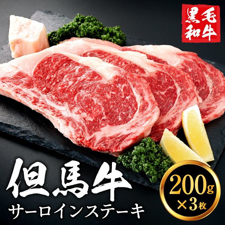【ふるさと納税】但馬牛 サーロインステーキセット 600g (200g×3枚) / 3人前 黒毛和牛 ステーキ肉 いちかわ精肉店 経産牛 牛肉 国産 bbq バーベキュー 焼肉 ステーキ サーロイン 赤身 肉 冷凍 焼き肉用 020AA02N.