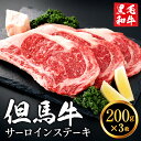 但馬牛 【ふるさと納税】但馬牛 サーロインステーキセット 600g （200g×3枚）3人前 黒毛和牛 ステーキ肉 いちかわ精肉店 経産牛 牛肉 国産 bbq バーベキュー 焼肉 ステーキ サーロイン 赤身 肉 冷凍 焼き肉用 020AA02N.