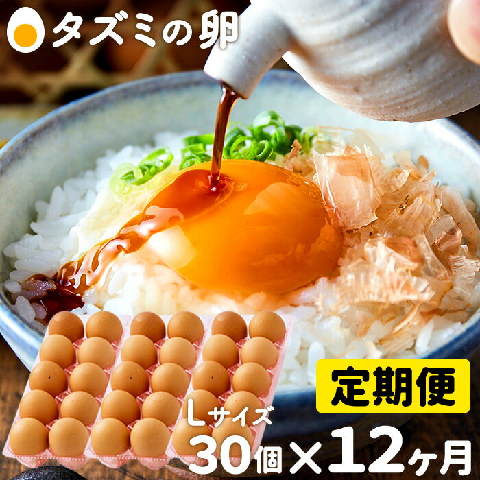 卵かけご飯にも相性抜群！タズミの卵 定期便 全12回 Lサイズ（30個×12ヶ月）/ 合計360個 毎月30個 こだわり卵 市川町産 兵庫県産 たまご たまごかけご飯 玉子 生卵 鶏卵 タマゴ 卵焼き TKG 12か月 097AB01N.