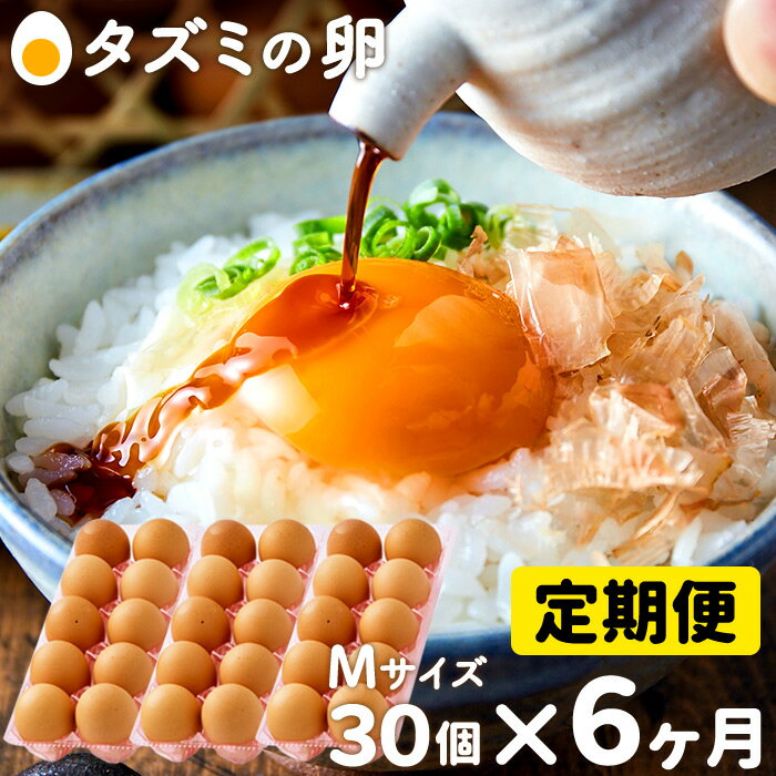 【ふるさと納税】卵かけご飯にも相性抜群！タズミの卵 定期便 全6回 Mサイズ（30個×6ヶ月）/ 合計180個 毎月30個 こだわり卵 市川町産 兵庫県産 たまご 玉子 生卵 鶏卵 タマゴ TKG 6か月 036AB01N.