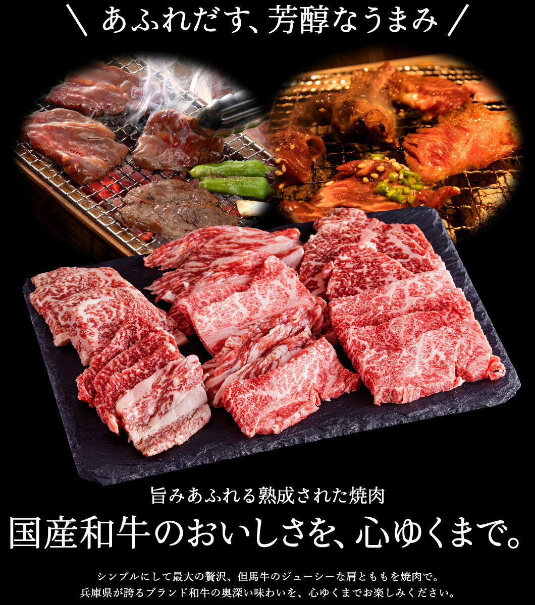 【ふるさと納税】但馬牛 焼肉用 肩・モモセット 合計約500g （2〜3人前）/ 焼肉セット 黒毛和牛 いちかわ精肉店 経産牛 牛肉 国産 bbq バーベキュー 焼き肉セット アウトドア キャンプ 冷凍 焼き肉用 010AA05N.