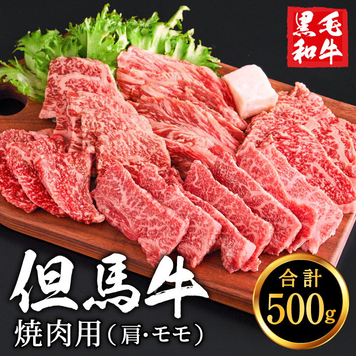 【ふるさと納税】但馬牛 焼肉用 肩・モモセット 合計約500g (2〜3人前)/ 焼肉セット 黒毛和牛 いちかわ精肉店 経産牛 牛肉 国産 bbq バーベキュー 焼き肉セット アウトドア キャンプ 冷凍 焼き肉用 010AA05N.