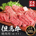 【ふるさと納税】但馬牛 焼肉用 肩・モモセット 合計約500