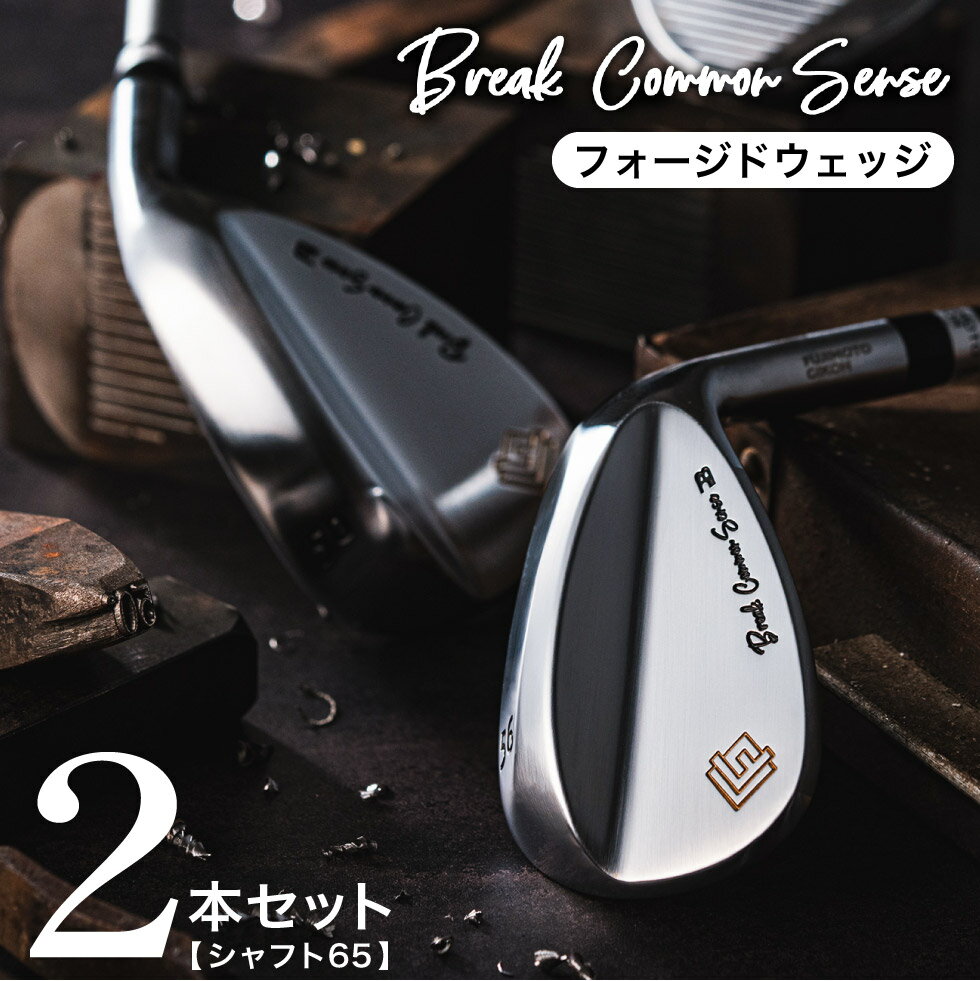 【ふるさと納税】BREAK COMMON SENSE（ブレイクコモンセンス）Fujimoto_BCS Wedge(2set)65 ウェッジ 2本セット / 藤本技工 軟鉄鍛造 ウェッジ 国産 ゴルフクラブ ゴルフ用品 350BE01N.