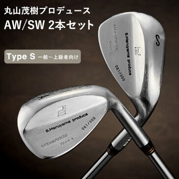 【ふるさと納税】200HB03L.丸山茂樹プロデュース いちかわアイアンプレミアムシリーズ【Type S】ウェッジ2本組(AW、SW) NSPRO950(S)