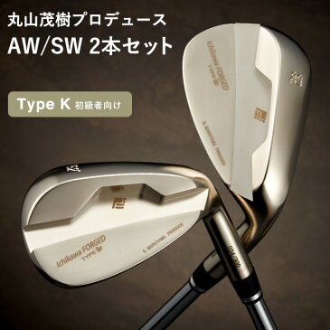【ふるさと納税】200HB06L.丸山茂樹プロデュース いちかわアイアンプレミアムシリーズ【Type K】ウェッジ2本組(AW、SW) DGS200