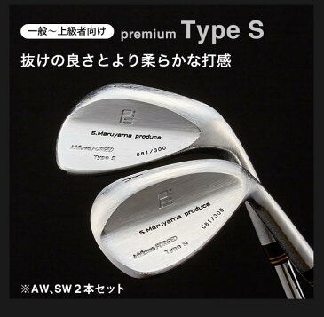【ふるさと納税】200HB04L.丸山茂樹プロデュース いちかわアイアンプレミアムシリーズ【Type S】ウェッジ2本組(AW、SW) DGS200