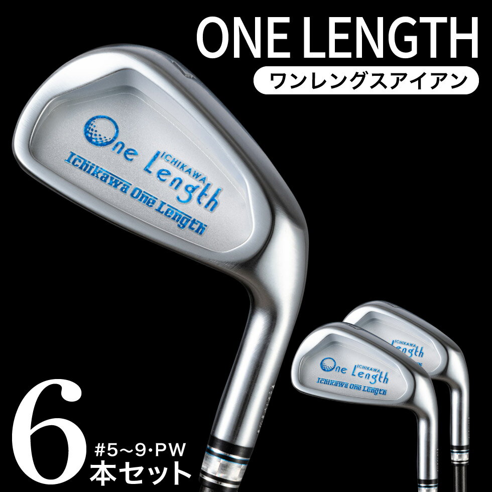 【ふるさと納税】One Length Iron（ワンレングスアイアン） Ichikawa One Length Iron 6本セット / 東...