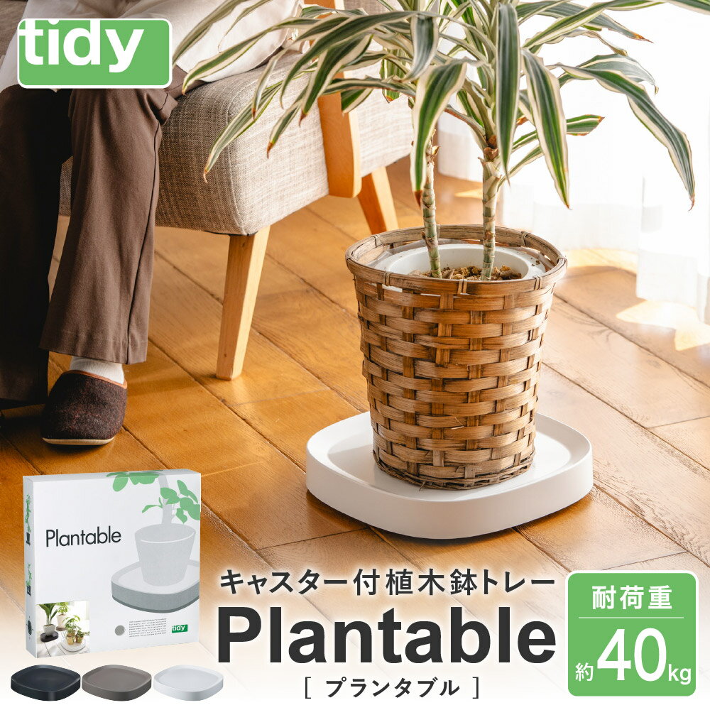 tidy ティディ Plantable(キャスター付植木鉢トレイ) / 台 観葉植物 トレイ プランター 受け皿 受皿 鉢皿 らくらく移動 可動式 軽量 ガーデニング リビング オフィス 玄関 掃除用品 掃除 お掃除 日用品 インテリア 雑貨 おしゃれ 012EB04N.