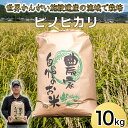<新米予約>令和7年度産 ヒノヒカリ 精米 八千種米 お米10kg 白米 ごはん 兵庫県産 世界かんがい施設遺産登録『西光寺野疏水路』 お米 【2025年10月中旬より順次発送予定】