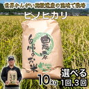 【ふるさと納税】<新米予約>令和7年度産 ヒノヒカリ 精米 八千種米 お米10kg 白米 ごはん 兵庫県産 世界かんがい施設遺産登録『西光寺野疏水路』 お米 【2025年10月中旬より順次発送予定】