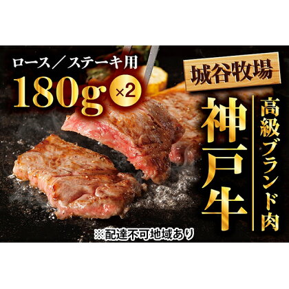 城谷牧場の神戸牛　ロースステーキ用360g（180g×2枚）　【お肉・牛肉・ロース・神戸牛・ロースステーキ用・ステーキ】