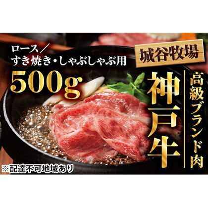 城谷牧場の神戸牛　ロースすき焼き、しゃぶしゃぶ用500g　【お肉・牛肉・ロース・すき焼き・神戸牛・しゃぶしゃぶ】
