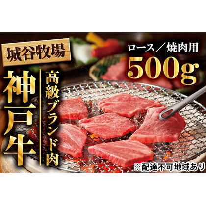 城谷牧場の神戸牛　ロース焼肉用500g　【お肉・牛肉・ロース・焼肉・バーベキュー・神戸牛】