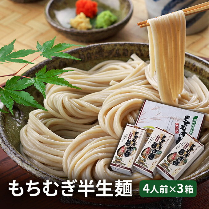 【ふるさと納税】もちむぎ半生麺 4人前×3箱セット　【麺類・