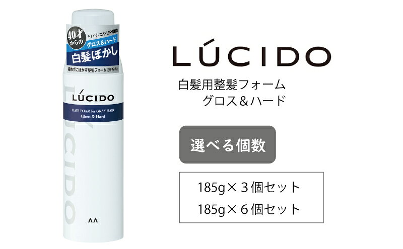 マンダム ルシード 白髪用整髪フォーム グロス&ハード 185g MA-102