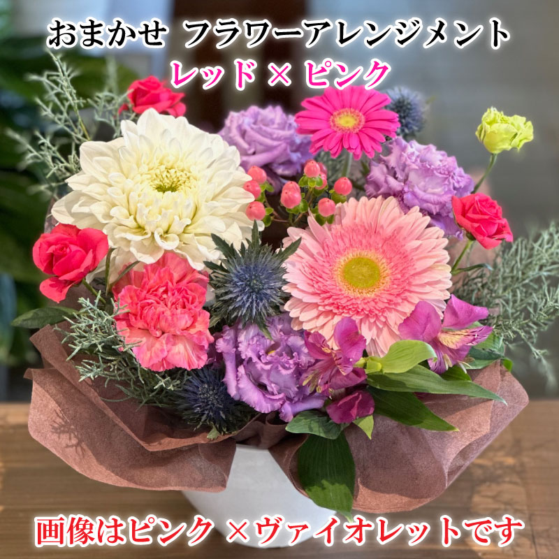 【ふるさと納税】おまかせ フラワーアレンジメント （レッド×ピンク）　 植物 フラワー お花 生花切花