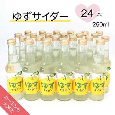 【カーミンも大好き】ゆずサイダー 250ml×24本【1329933】