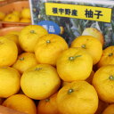 【ふるさと納税】【神河町特産】根宇野(みよの)の柚子(ゆず) 約2kg ※2025年10月末頃から順次発送【1332889】