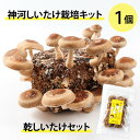 【ふるさと納税】神河しいたけ栽培キット(しいたけ菌床)1個と乾しいたけセット ※10月〜4月発送【1355227】