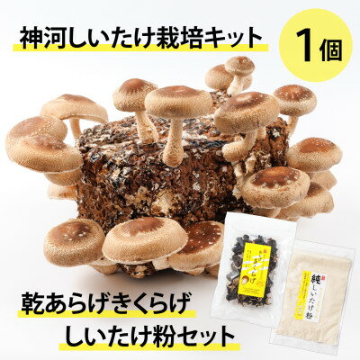 【ふるさと納税】神河しいたけ栽培キット(しいたけ菌床)1個と乾あらげきくらげ・しいたけ粉セット ※10月〜4月発送【1355231】