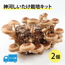 【ふるさと納税】神河しいたけ栽培キット(しいたけ菌床)2個 ※5月〜10月順次発送【配送不可地域:離島】【1411535】