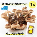 【ふるさと納税】神河しいたけ栽培キット(しいたけ菌床)1個と乾しいたけセット ※5月〜10月順次発送【配送不可地域:離島】【1411537】