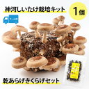 【ふるさと納税】神河しいたけ栽培キット(しいたけ菌床)1個と乾あらげきくらげセット ※5月〜10月順次発送【配送不可地域:離島】【1411538】