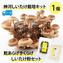 【ふるさと納税】神河しいたけ栽培キット(しいたけ菌床)1個と乾あらげきくらげ・しいたけ粉セット※5月〜10月順次発送【配送不可地域:離島】【1411540】