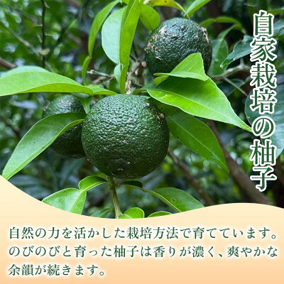 【ふるさと納税】【香りと辛みで料理に深みを】スパイス薫る赤い柚子胡椒(瓶)50g ×2本 5セット【1736733】