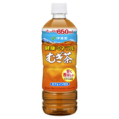 2023年4月発送開始『定期便』健康ミネラル麦茶650ml 24本(1ケース)全3回【5128999】