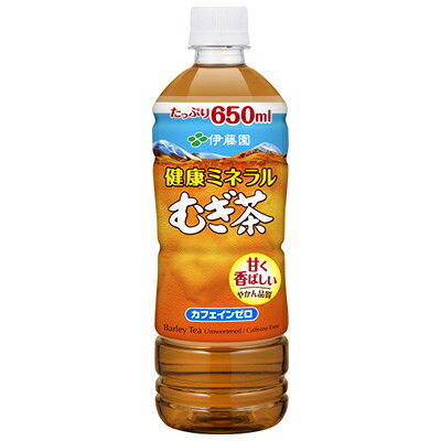 2023年11月発送開始『定期便』健康ミネラル麦茶650ml 48本(2ケース)全3回【5129018】
