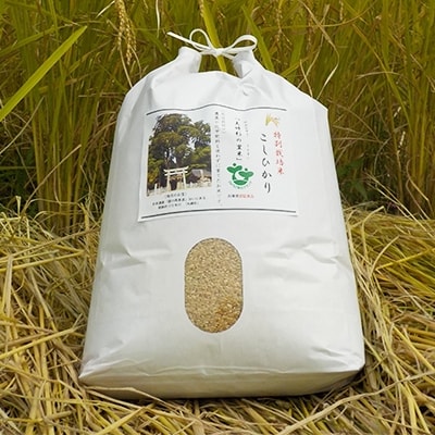 【令和4年産】夫婦杉の里米(コシヒカリ)玄米10kg【1024996】