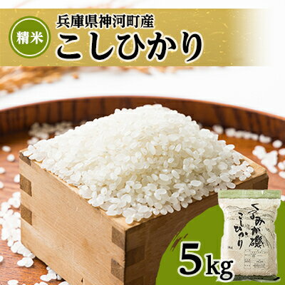 【ふるさと納税】【2023年産】コシヒカリ精米 真空パック5kg【兵庫県食品認証取得済】【1068022】