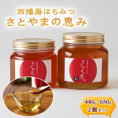 21位! 口コミ数「0件」評価「0」西播磨はちみつ　さとやまの恵み　440g・650g 2本セット【1244053】