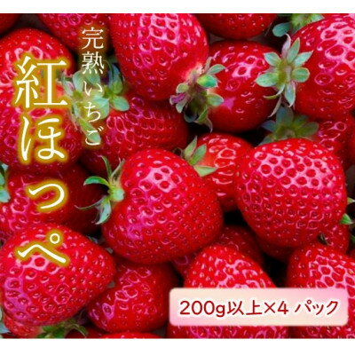 朝採り完熟いちご[紅ほっぺ] 200g以上×4パック 兵庫県太子町産[配送不可地域:離島・北海道・沖縄県・東北]