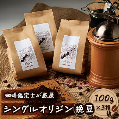 2位! 口コミ数「0件」評価「0」シングルオリジン【挽豆】　3種セット　100g×3種【配送不可地域：離島】【1409248】