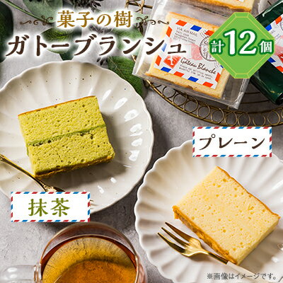 【ふるさと納税】ガトーブランシュ 12個箱入り(プレーン6個・抹茶6個)【配送不可地域:離島】【1488052】